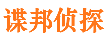 平川背景调查